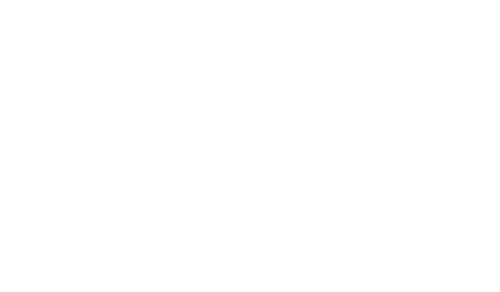 Ortega Group, PLLC